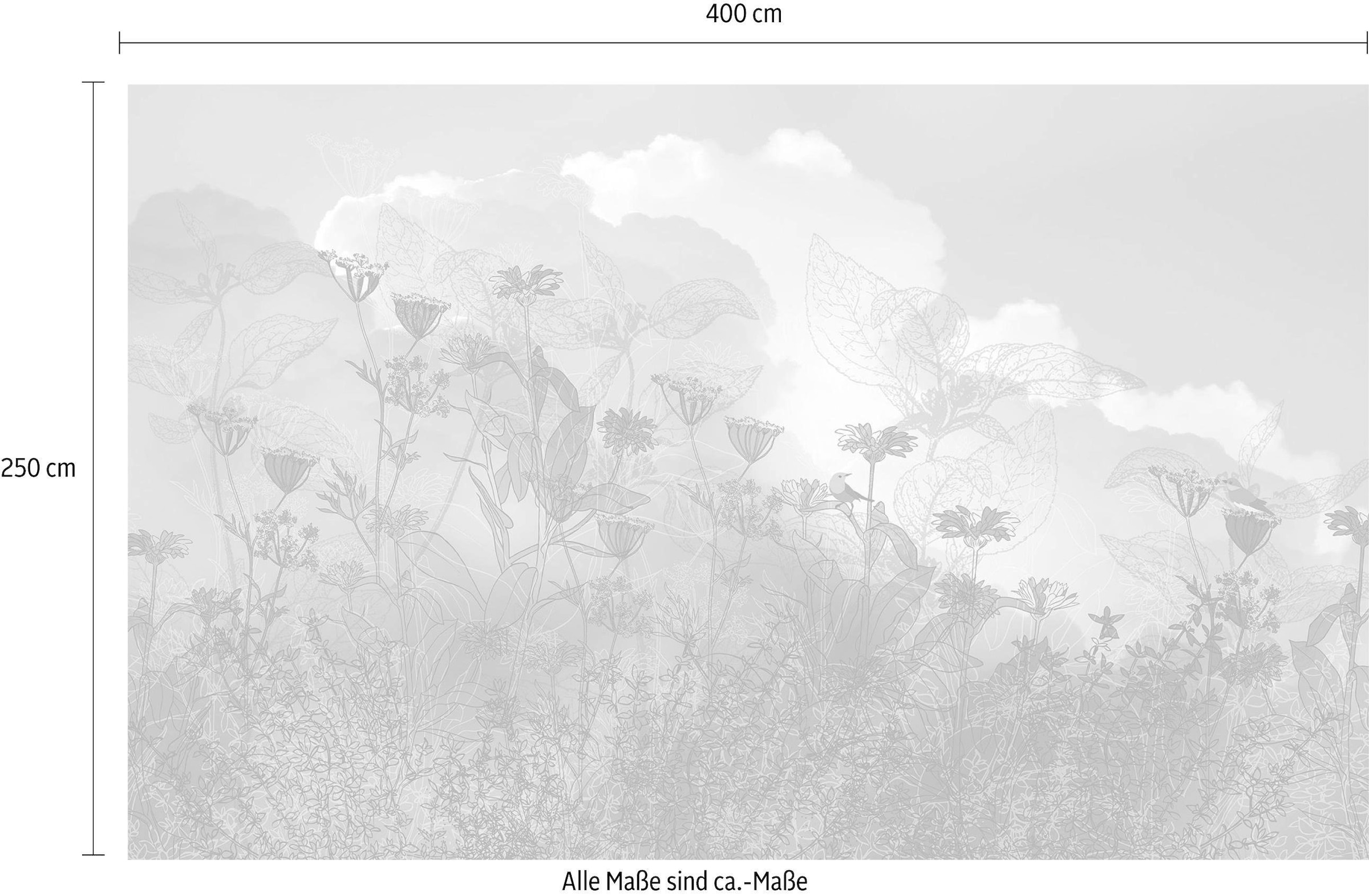 Komar Vliestapete »Digitaldruck Vlies -  Blue Sky - Größe 400 x 250 cm« bedruckt glatt Wohnzimmer, Schlafzimmer