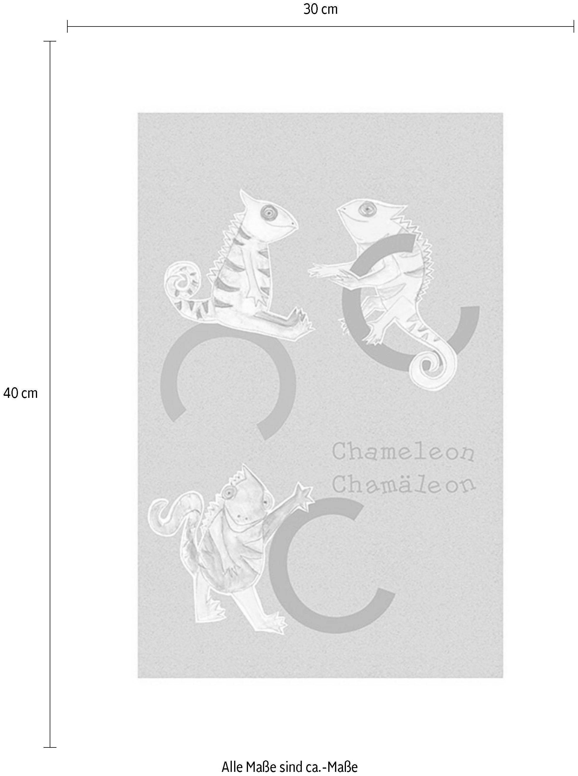 Komar Bild »ABC Animal C«, Buchstaben, (1 St.), Wandbild zur Dekoration - ohne Rahmen