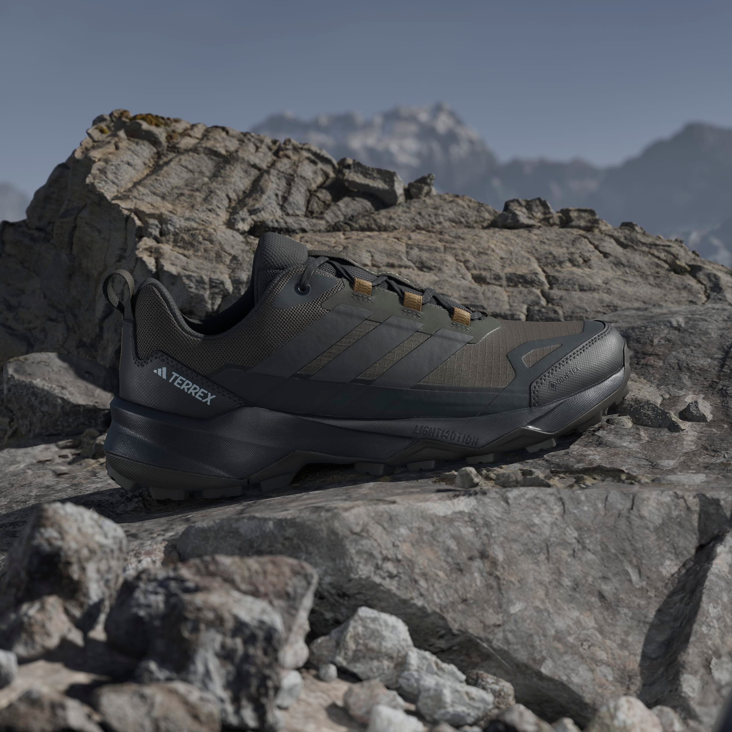 adidas TERREX Wanderschuh »TERREX SKYCHASER AX5 GORE-TEX E«, wasserdicht
