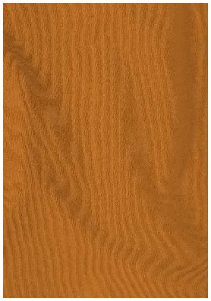 Jack Wolfskin T-Shirt »BRAND T M«