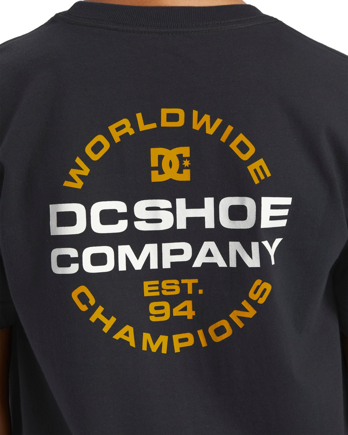 DC Shoes T-Shirt »Eurostep«