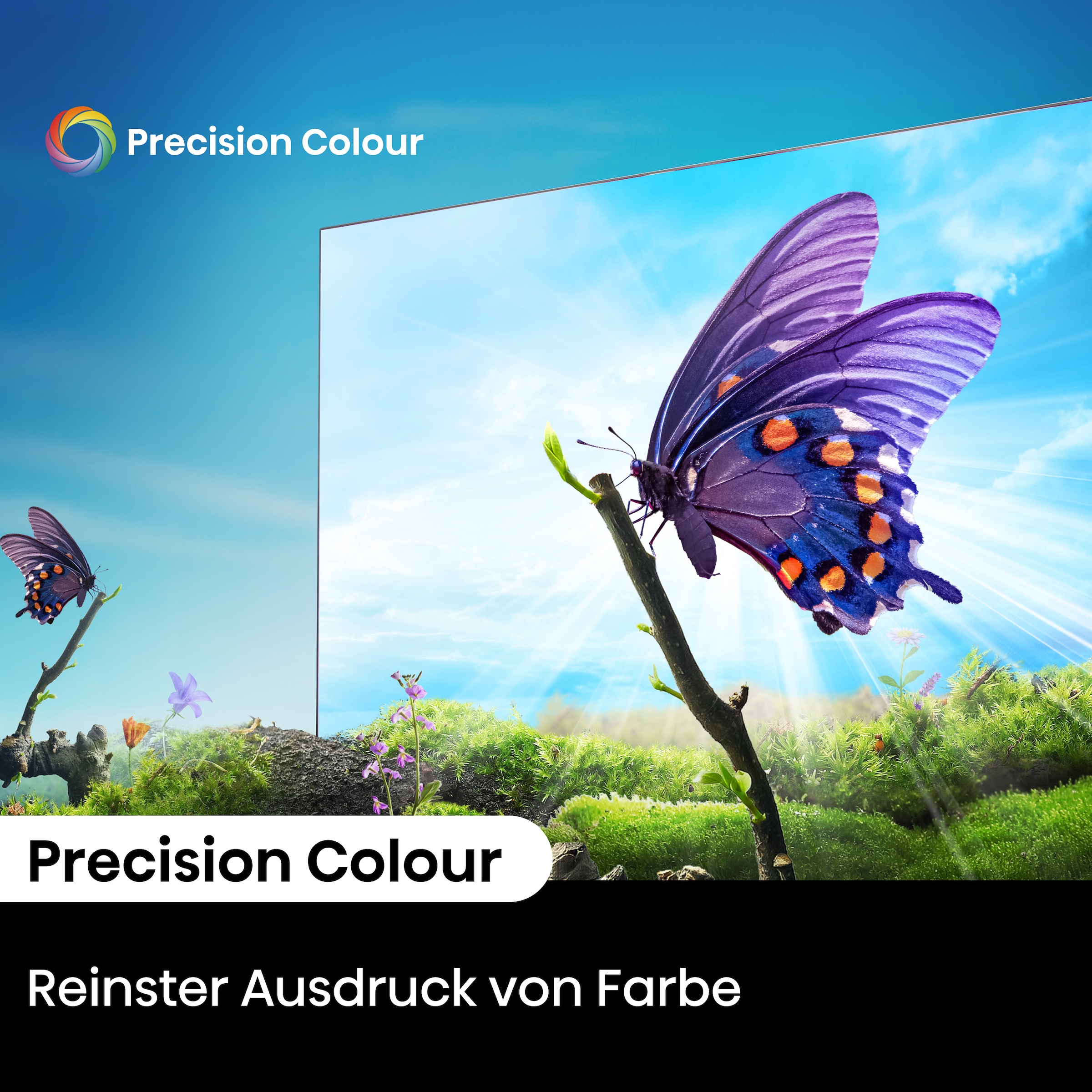 Hisense LED-Fernseher »43E6NT«, 4K Ultra HD, Smart-TV, 4K UHD