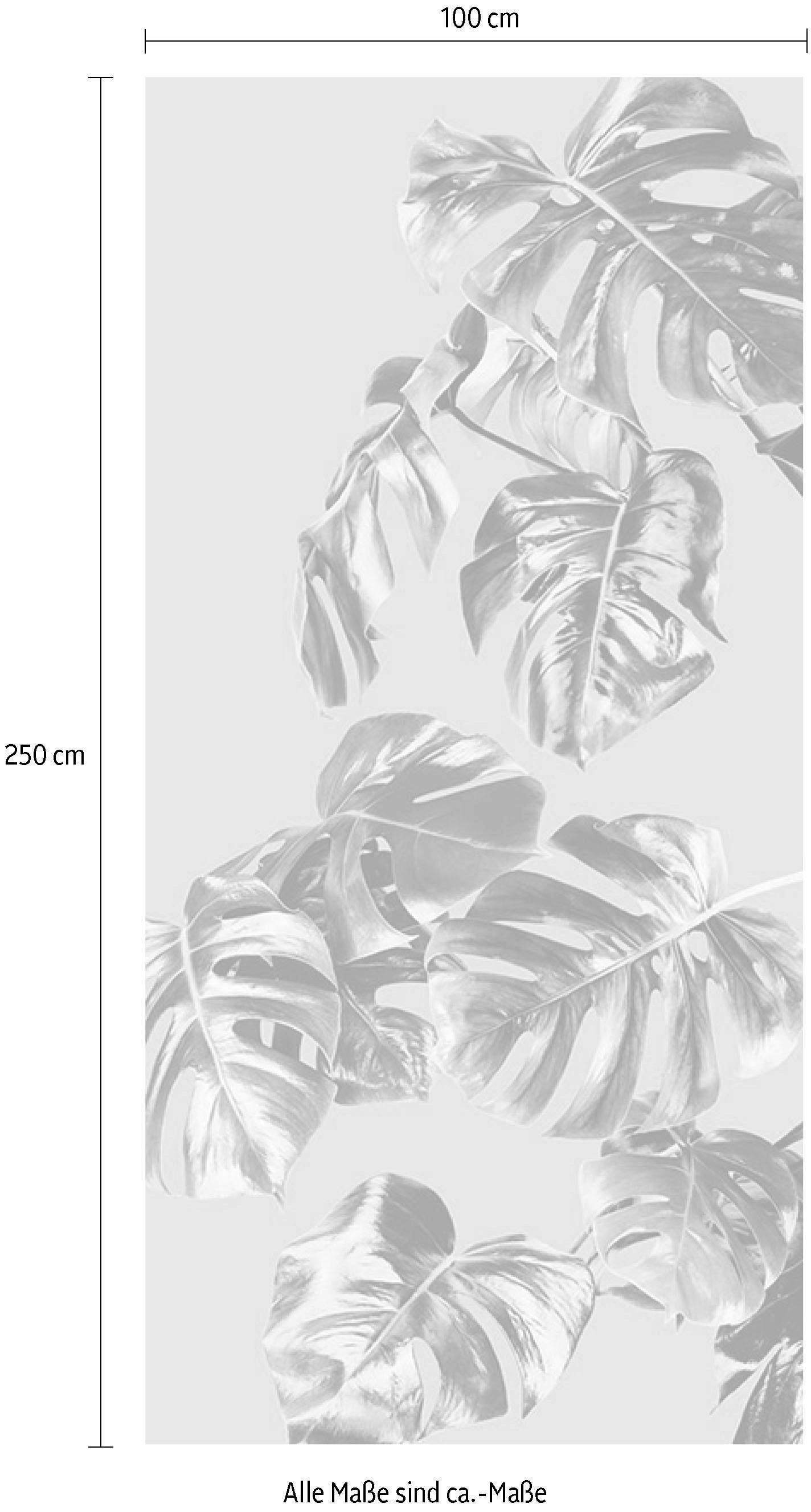 Komar Vliestapete »Digitaldruck Vlies - Monstera Rosé Panel - Größe 100 x 250 cm«, bedruckt, Wohnzimmer, Schlafzimmer