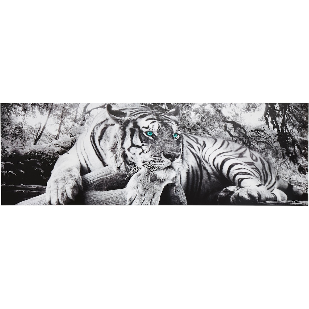 Home affaire Deco-Panel »Tiger guckt dich an«