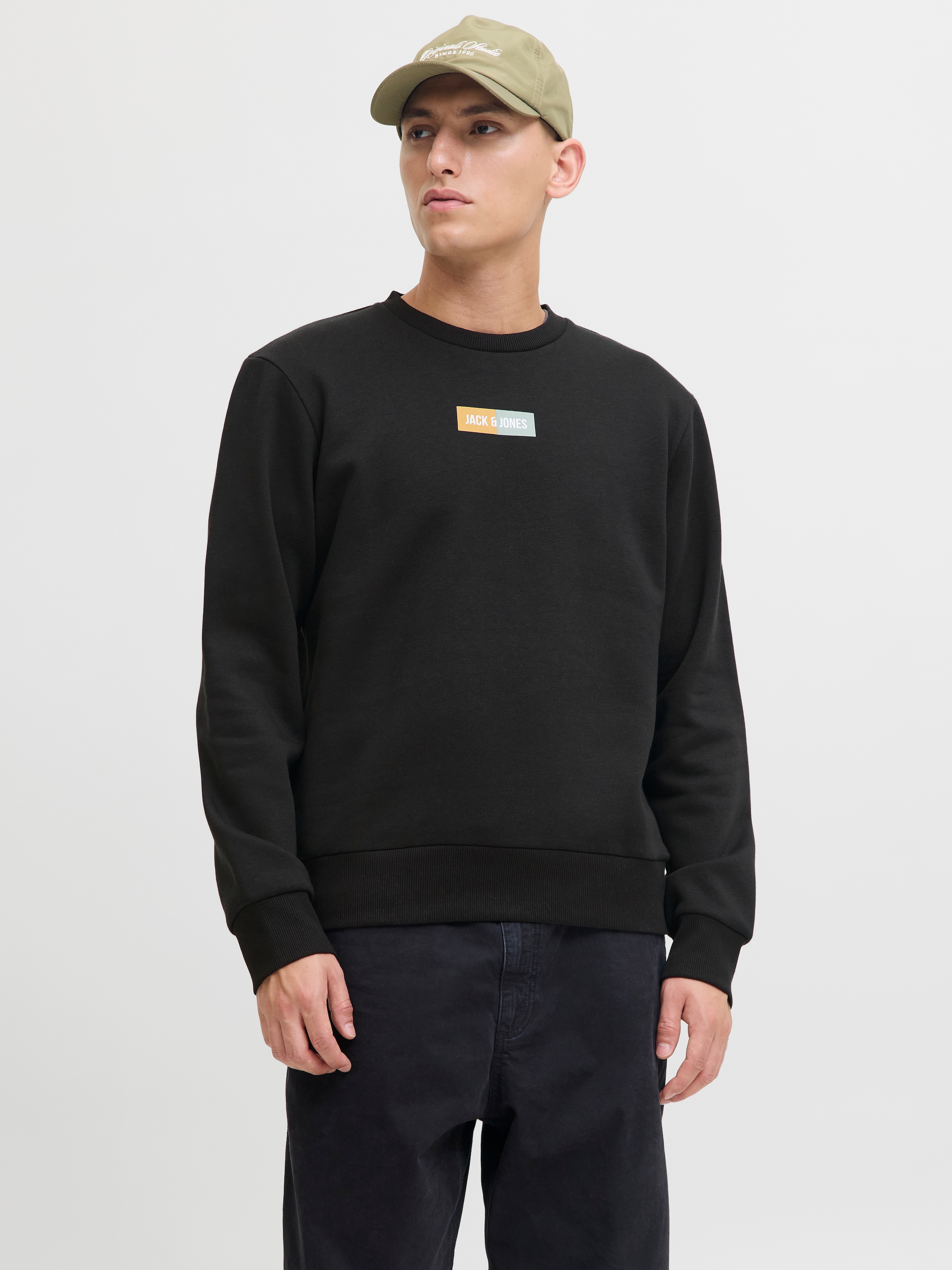 Jack & Jones Sweater »JJPAN SWEAT CREW NECK«
