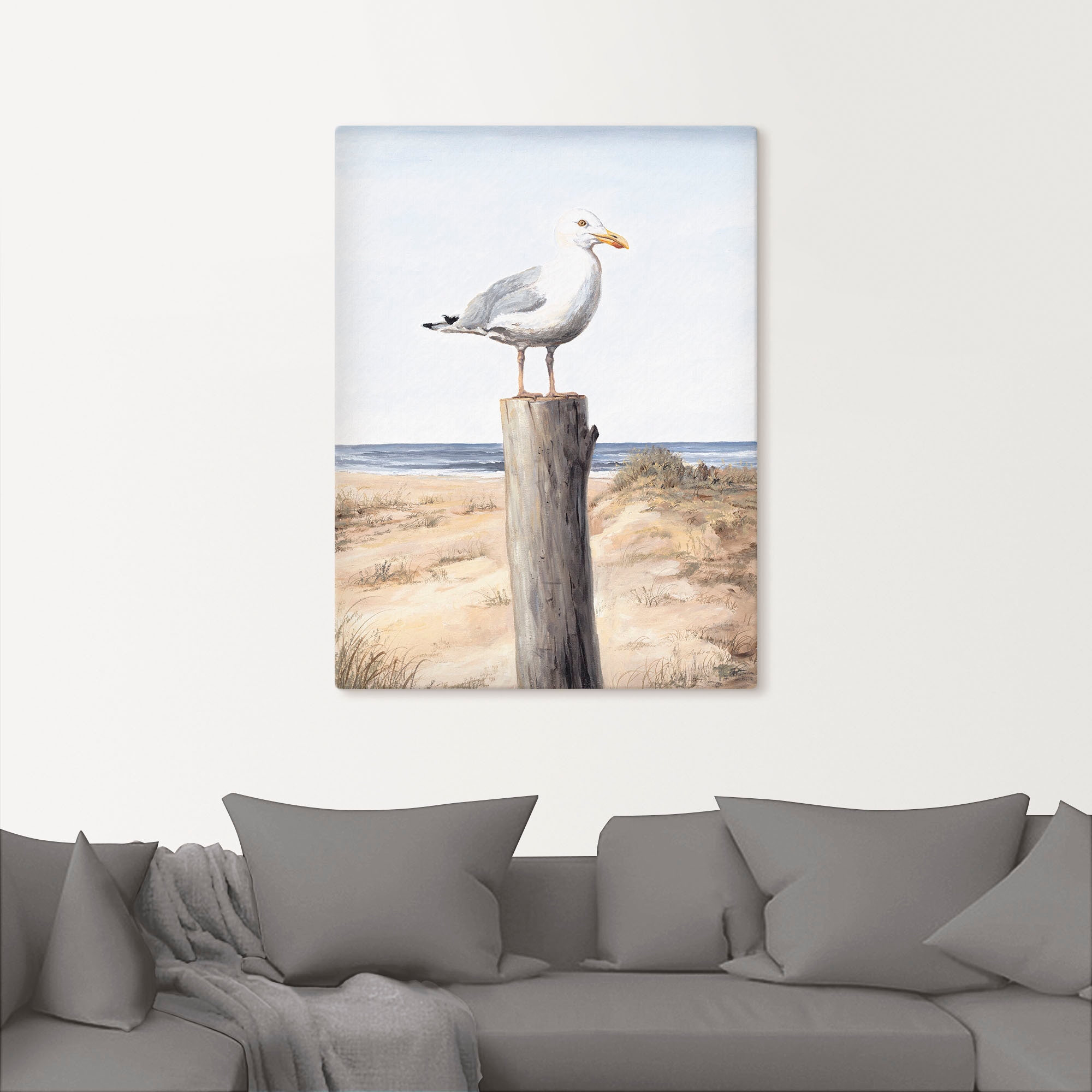 Artland Wandbild »Möwe«, Vögel, (1 St.), als Alubild, Outdoorbild, Leinwandbild, Poster, Wandaufkleber