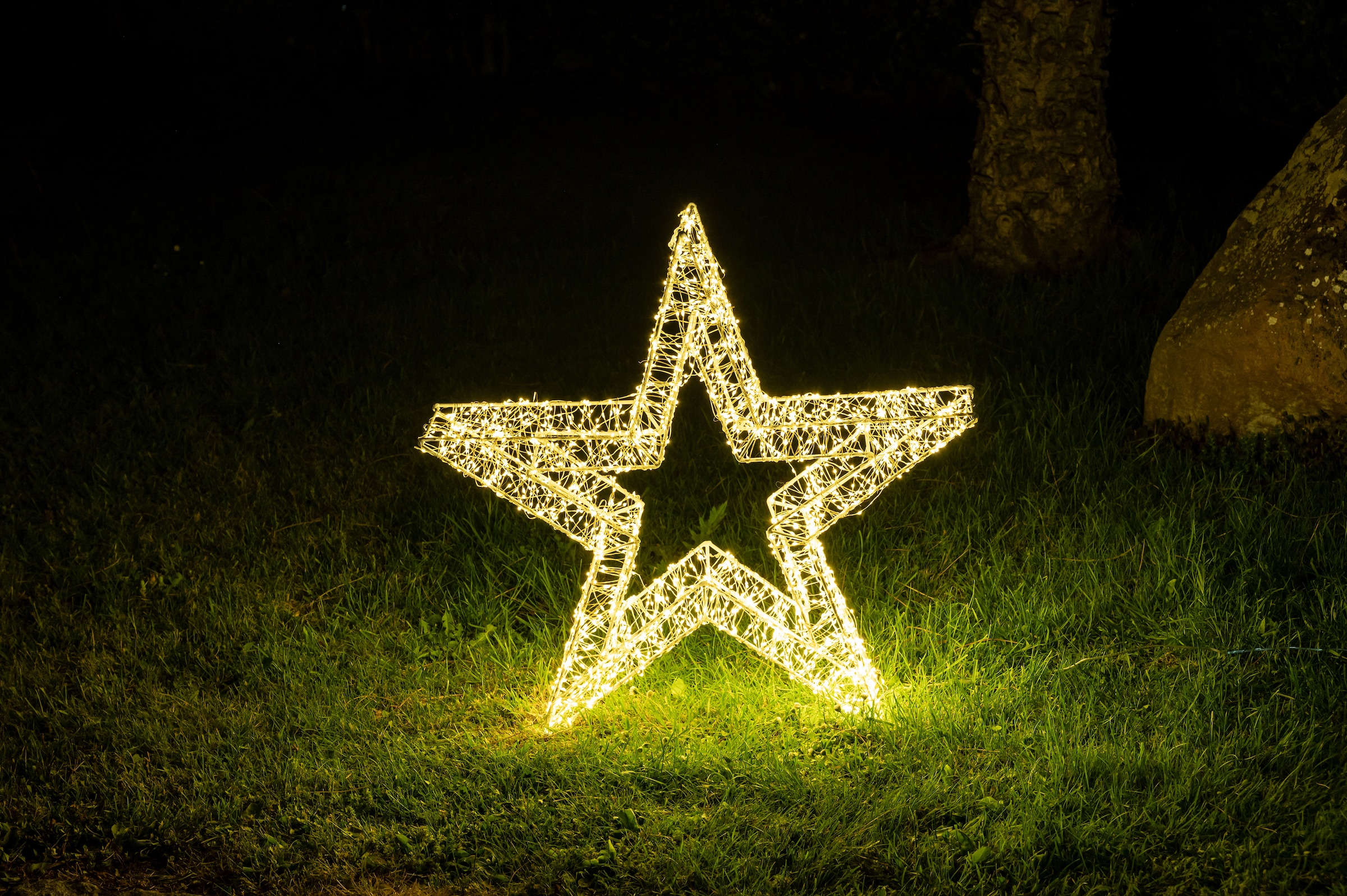 Star-Max LED Stern kaufen flammig-flammig, Jahren 3 aussen«, Weihnachtsdeko 960 | Garantie mit LED »Weihnachtsstern, XXL online stromsparende