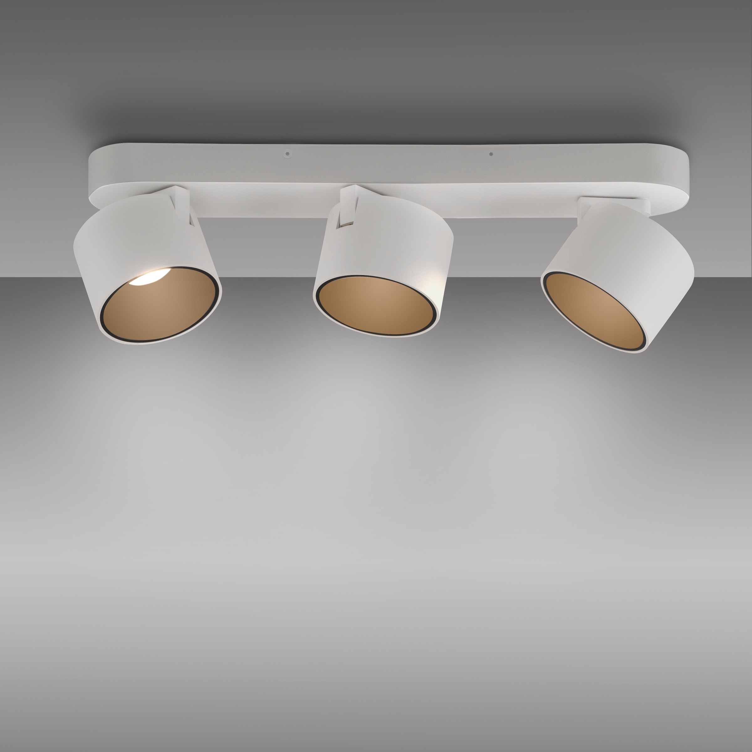 Neuhaus PURE LED Deckenleuchte »PURE Cup« LED-Board 1 Stk. Warmweiß Dimmfähig über separaten Tronicdimmer, dreh- & schwenkbar