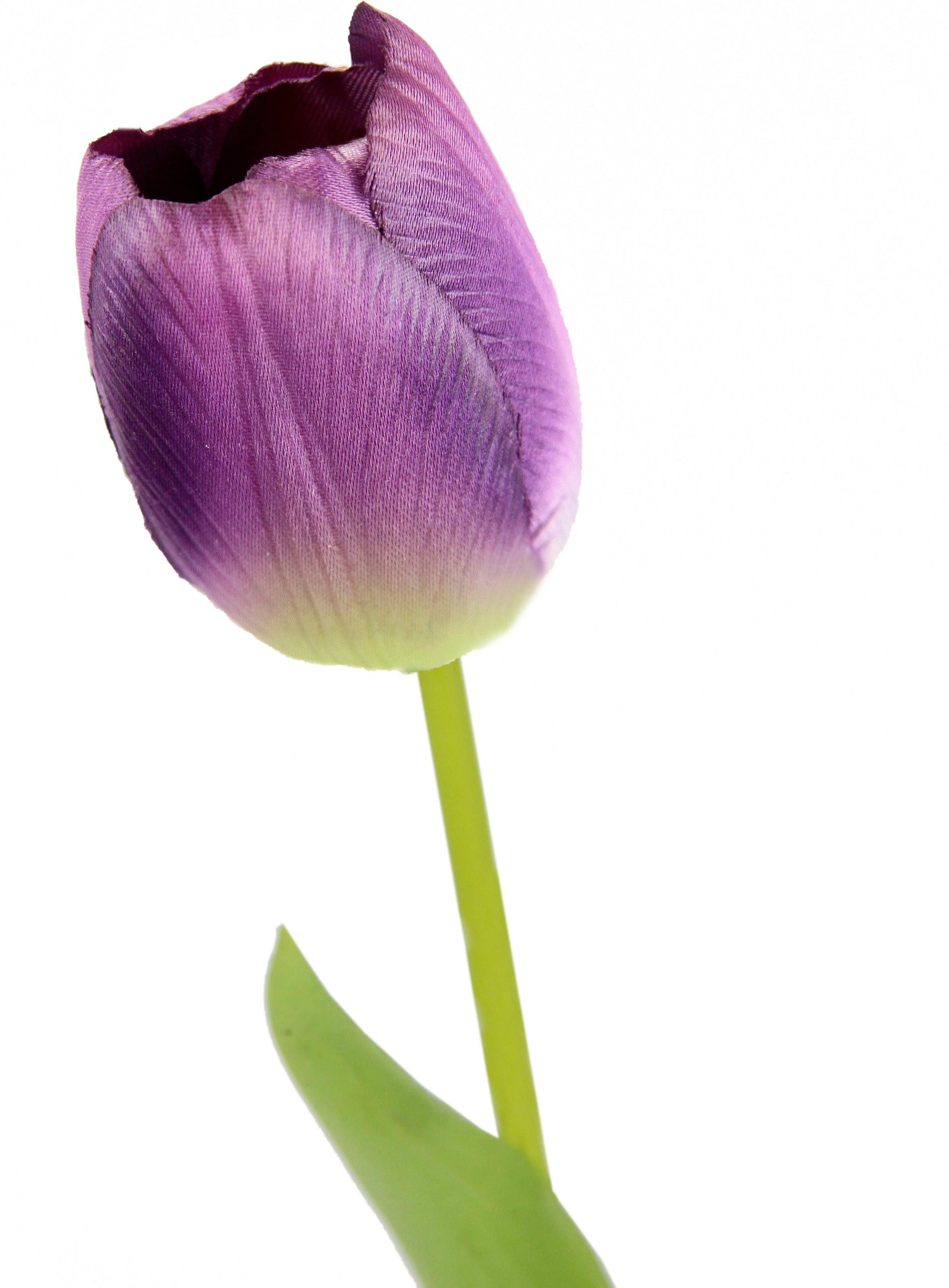 I.GE.A. Kunstblume »Real Touch Tulpen« 5er Set künstliche Tulpenknospen, Kunstblumen, Stielblume