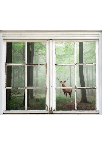 queence Wandsticker »Hirsch im Wald« kaufen