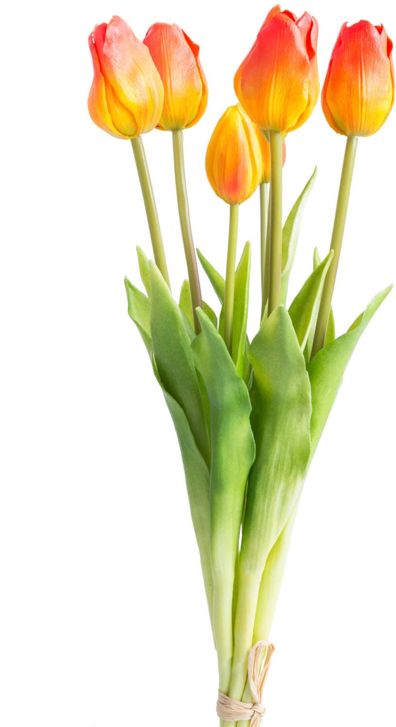 Kunstblume kaufen »Tulpenbündel« Botanic-Haus bequem