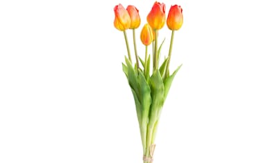 Botanic-Haus umwickelt« mit Blättern auf Kunstblume kaufen Raten »Rosenarrangement