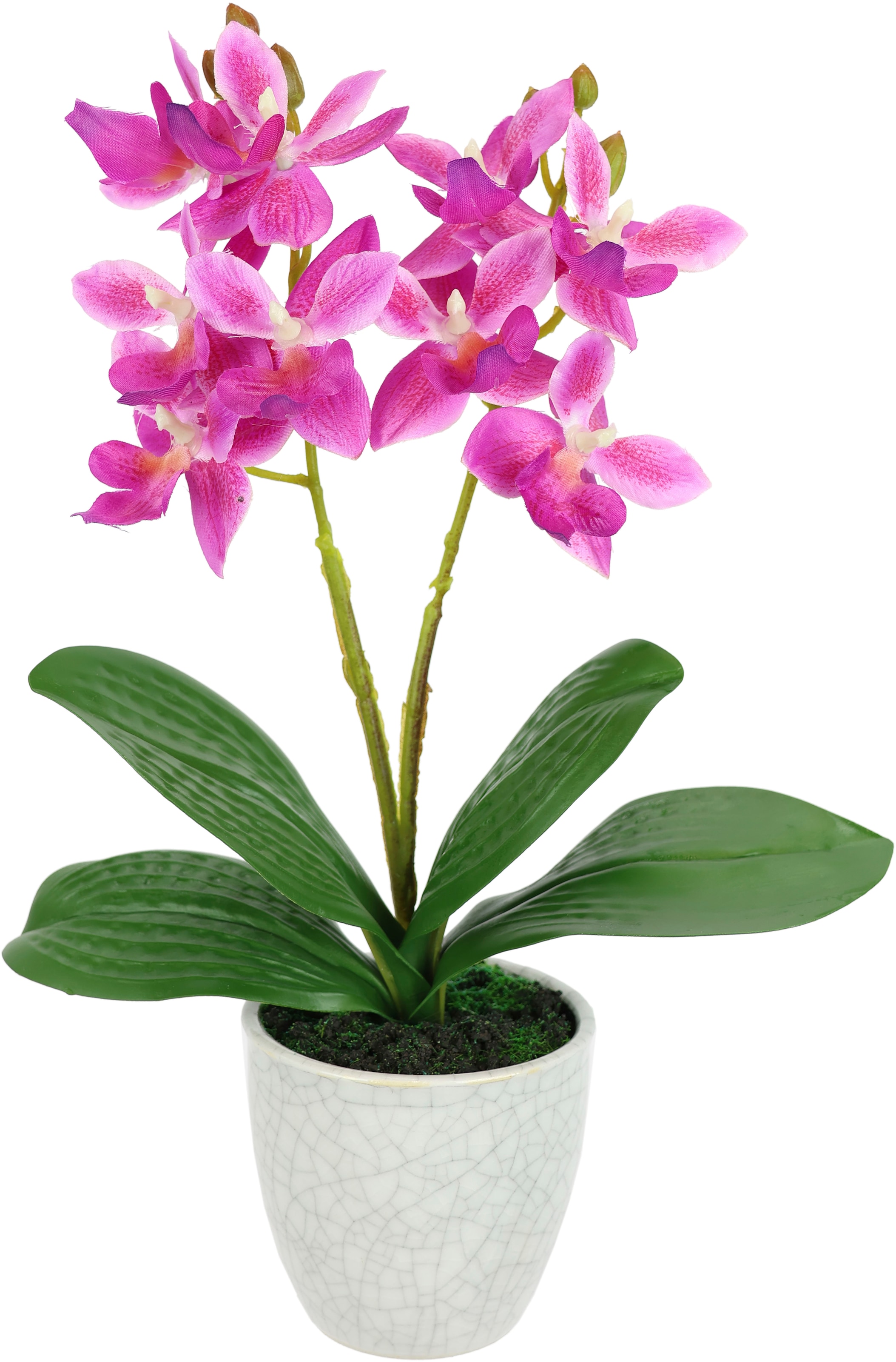 I.GE.A. Kunstorchidee »Künstliche Orchidee mit Topf« Dekoblume im Keramiktopf mit Rissoptik Kunstblume