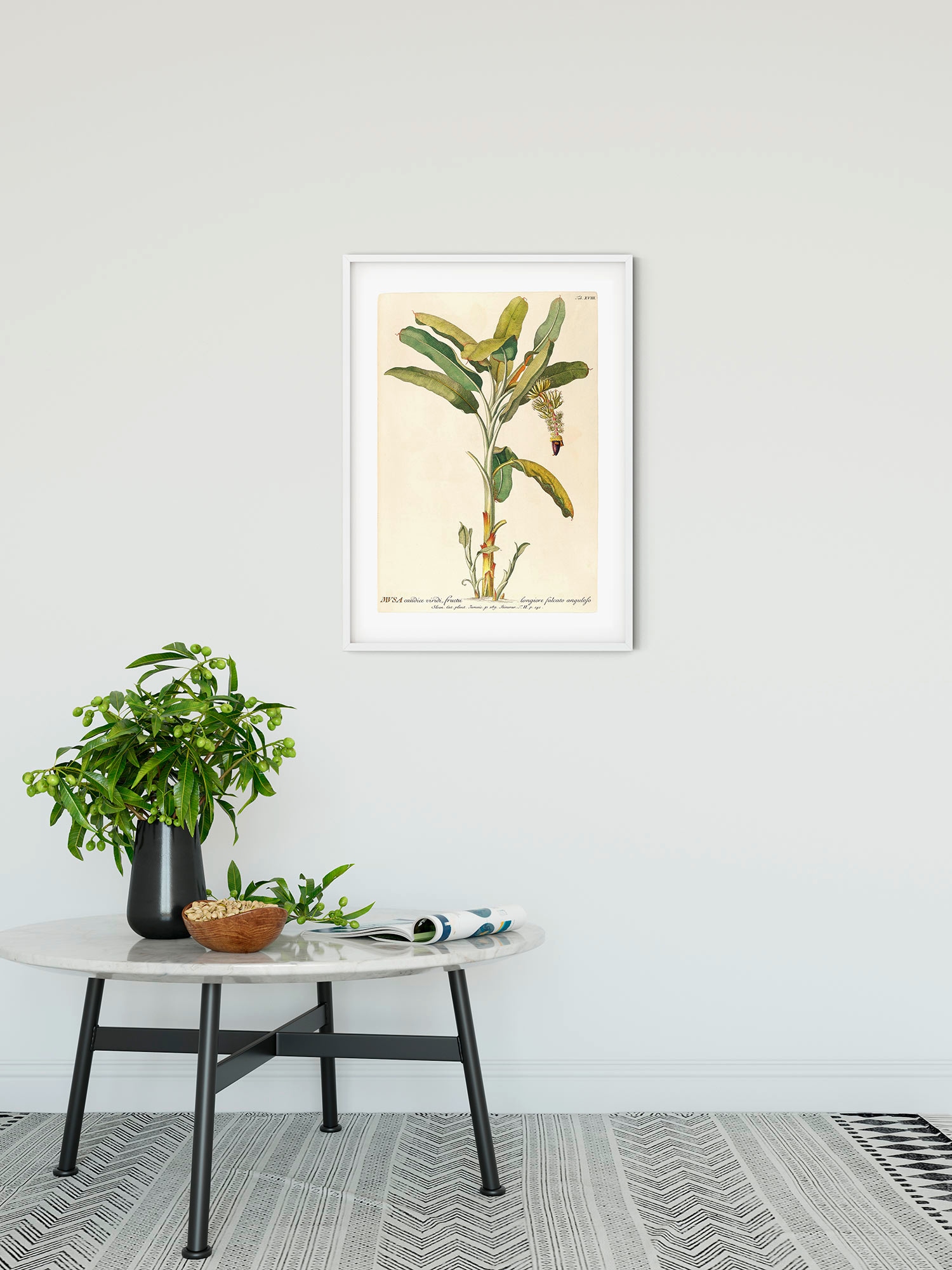 Komar Bild »Rainforest Sapling«, Natur, (1 St.), Wandbild zur Dekoration - ohne Rahmen