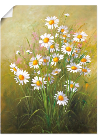 Artland Wandbild »Weiße Gänseblümchen«, Blumenbilder, (1 St.), in vielen Größen &... kaufen