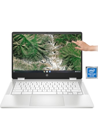 HP Chromebook »14a-ca0218ng«, (35,6 cm/14 Zoll), Intel, Pentium Silber, UHD Graphics 605 kaufen