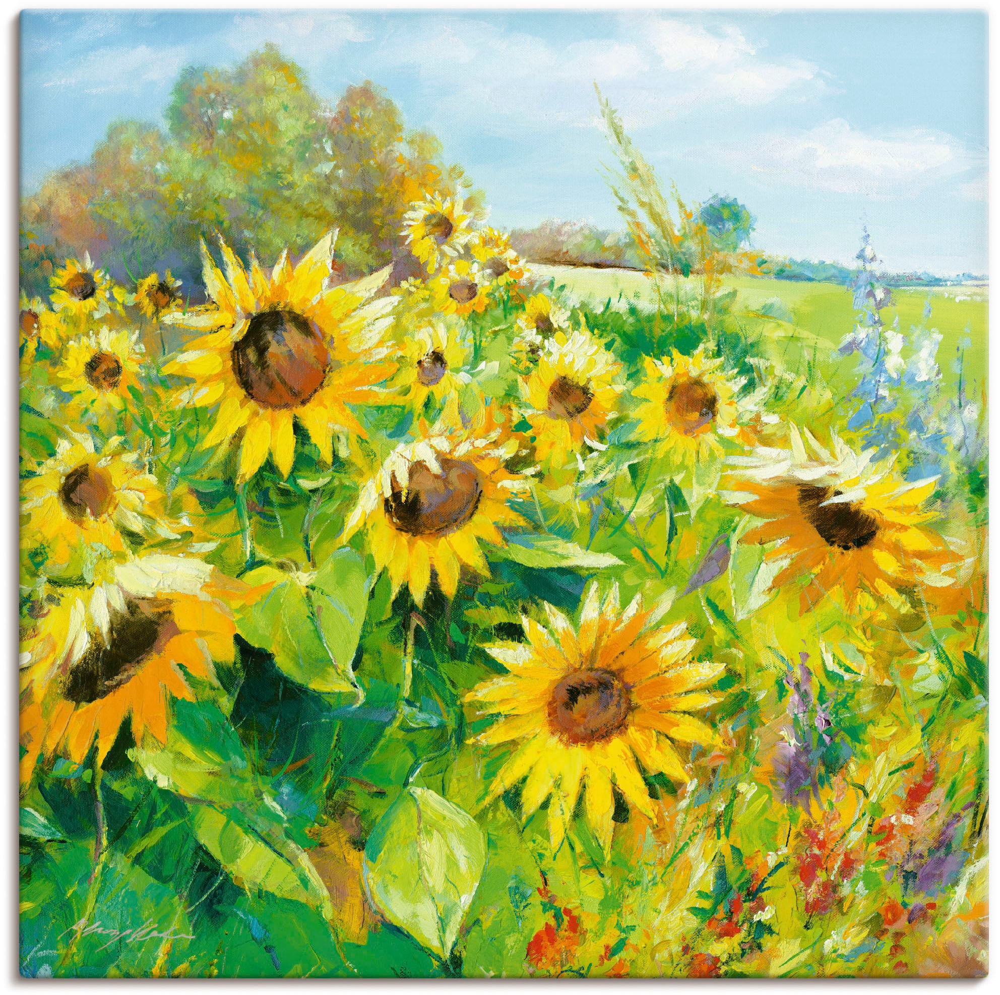 Artland Wandbild »Sommerwiese mit Sonnenblumen«, Blumenwiese, (1 St.), als  Alubild, Leinwandbild, Wandaufkleber oder Poster in versch. Größen auf  Raten kaufen