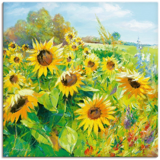 Artland Wandbild »Sommerwiese mit Sonnenblumen«, Blumenwiese, (1 St.), als  Alubild, Leinwandbild, Wandaufkleber oder Poster in versch. Größen auf  Raten kaufen