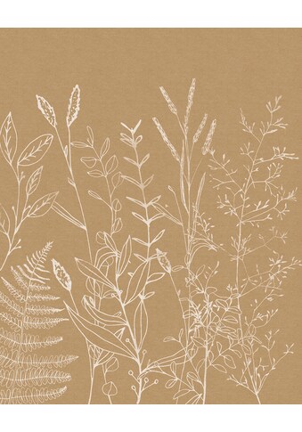 Komar Fototapete »Herbs Garden«, botanisch-tropisch-Motiv, BxL: 200x250 cm, 150 g/m²,... kaufen