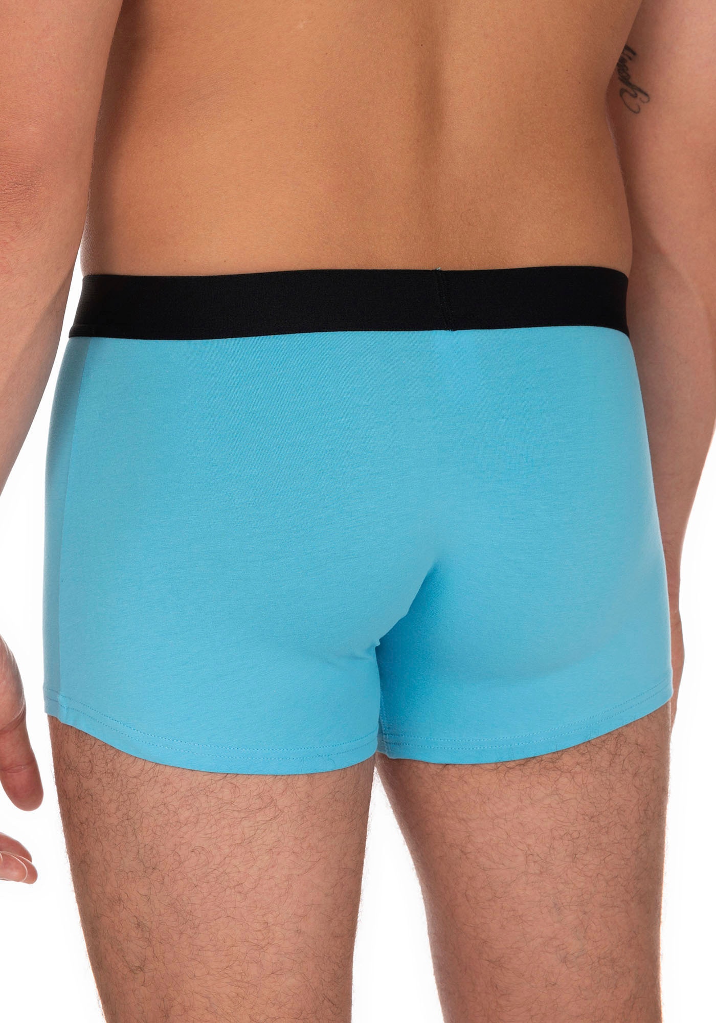 Bruno Banani Boxer, (2er Pack), mit kontrastreichem Logobund