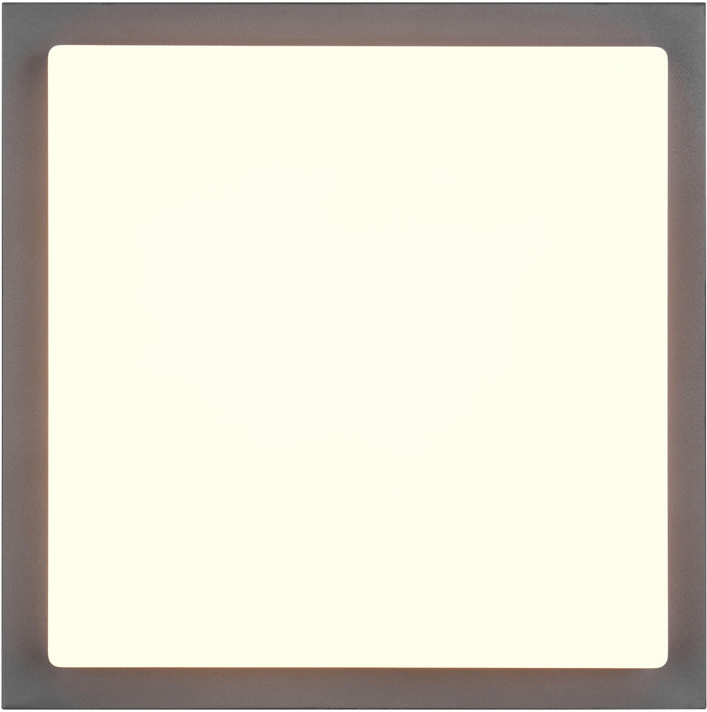 TRIO Leuchten LED Außen-Wandleuchte »BERMEJO, Hausnummer Leuchte mit Bewegungsmelder IP54 Fassadenleuchte« LED-Board 1 Stk. Farbwechsler | warmweiß - kaltweiß CCT Lichtfarbe einstellbar 2300-4000K, 1450 Lumen 14W Ø 30cm