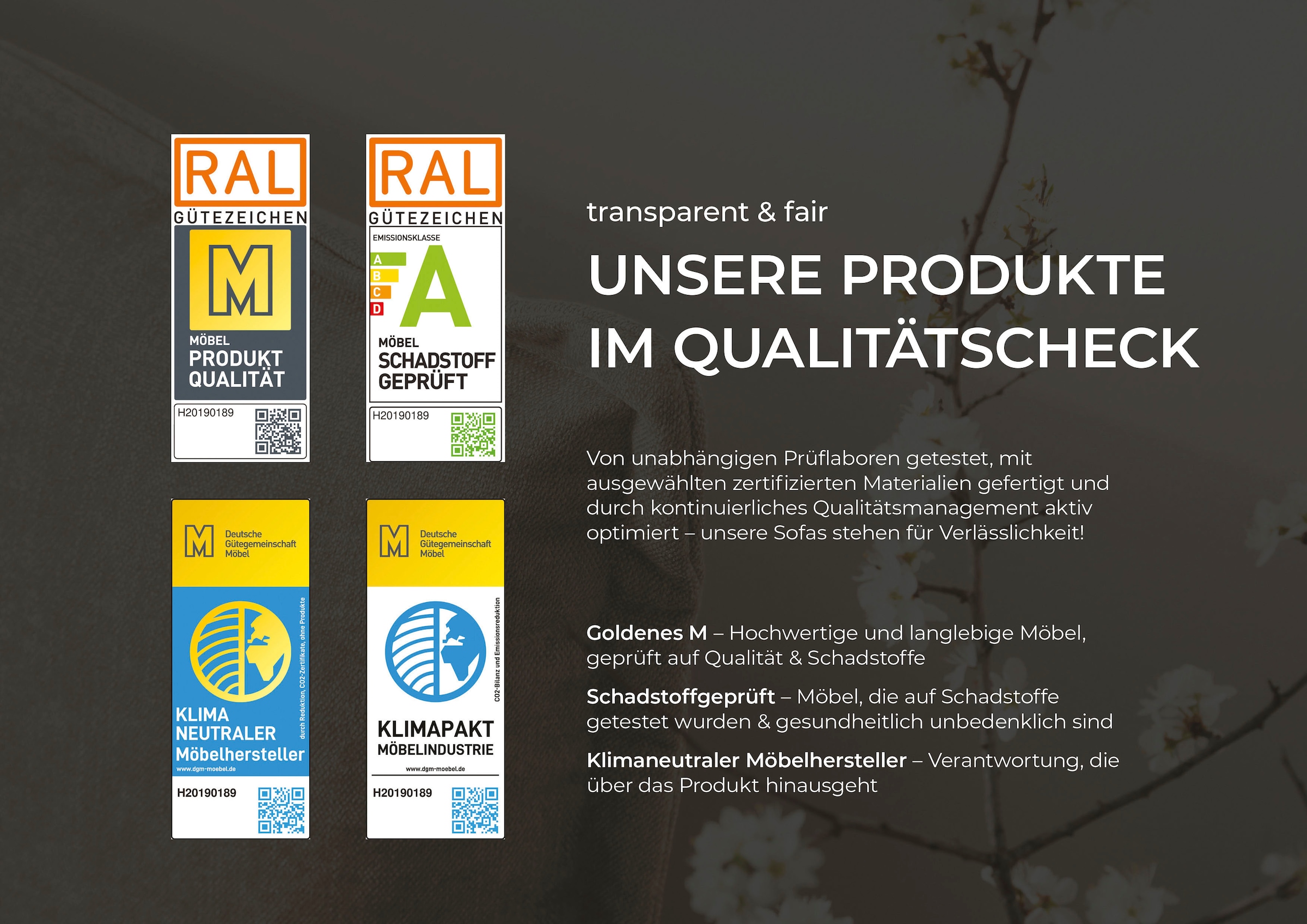 Home affaire Polsterbett »Aurela, liebevoll verarbeitete Biese & wahweise Überlänge« inkl. 7-fache Einlegetiefenverstellung & saugroboterfreundliche Höhe