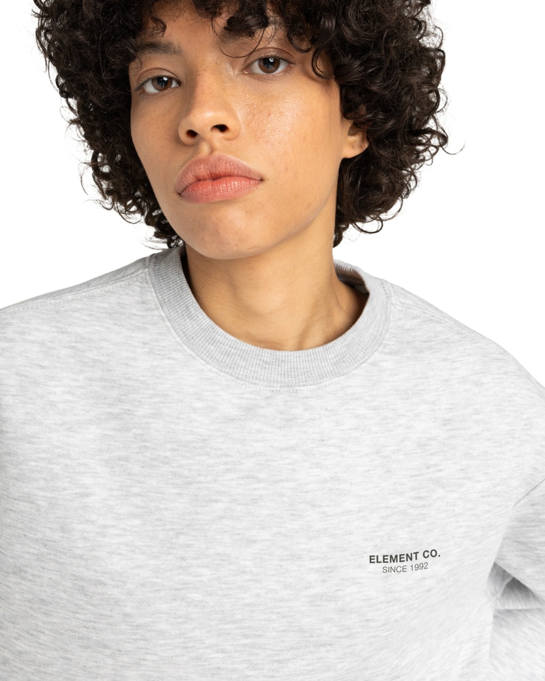 Element Sweatshirt »Element Co«