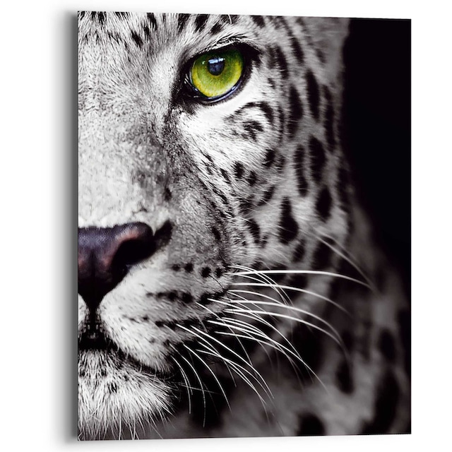 Reinders! Wandbild »Wandbild Panthers Auge Raubetier - Kräftig - Leopard«,  Tiere, (1 St.) auf Rechnung kaufen