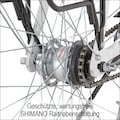 Didi THURAU Edition E-Bike »Alu City Comfort«, 3 Gang, Shimano, Frontmotor 250 W, (mit Schloss)
