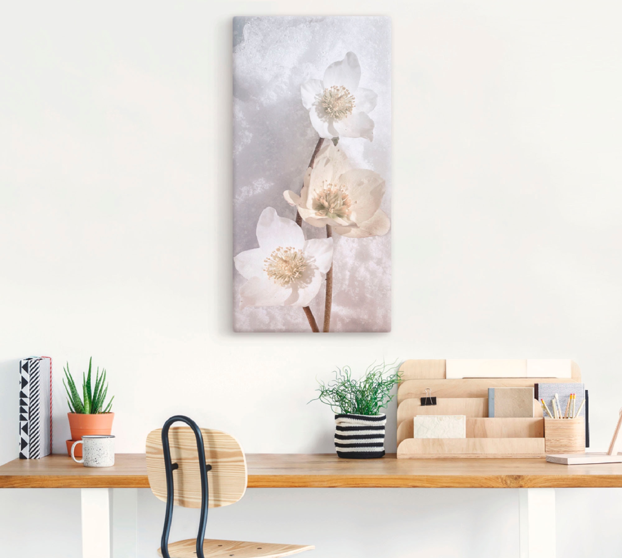 Artland Wandbild »Christrose im Schnee«, Blumen, (1 St.), als Leinwandbild, Poster in verschied. Größen