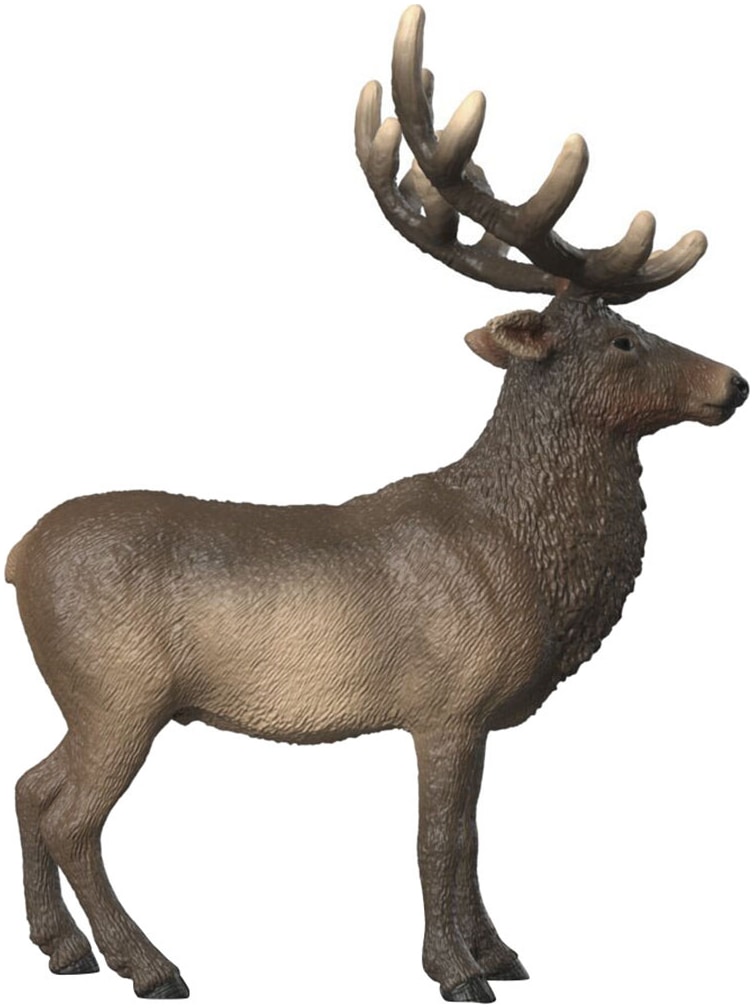 Schleich® Spielfigur »WILD LIFE, Amerikanischer Rothirsch (14992)«