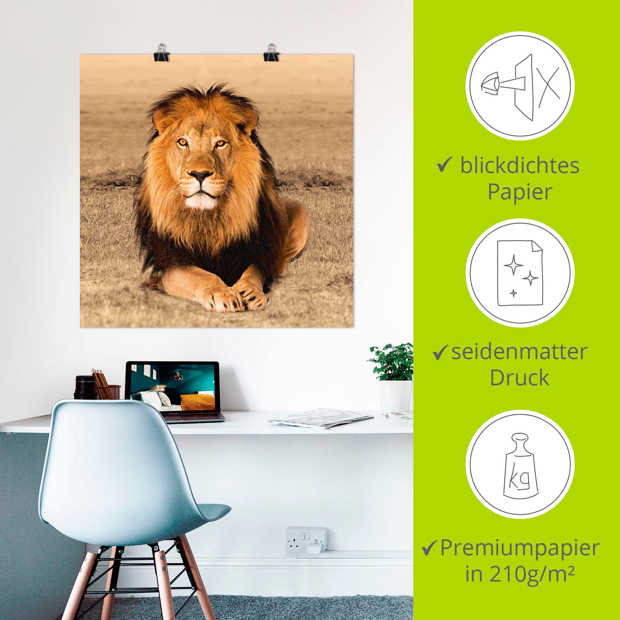 Artland Wandbild »Löwe« Wildtiere 1 Stk. tlg. als Alubild, Leinwandbild, Poster in verschied. Größen