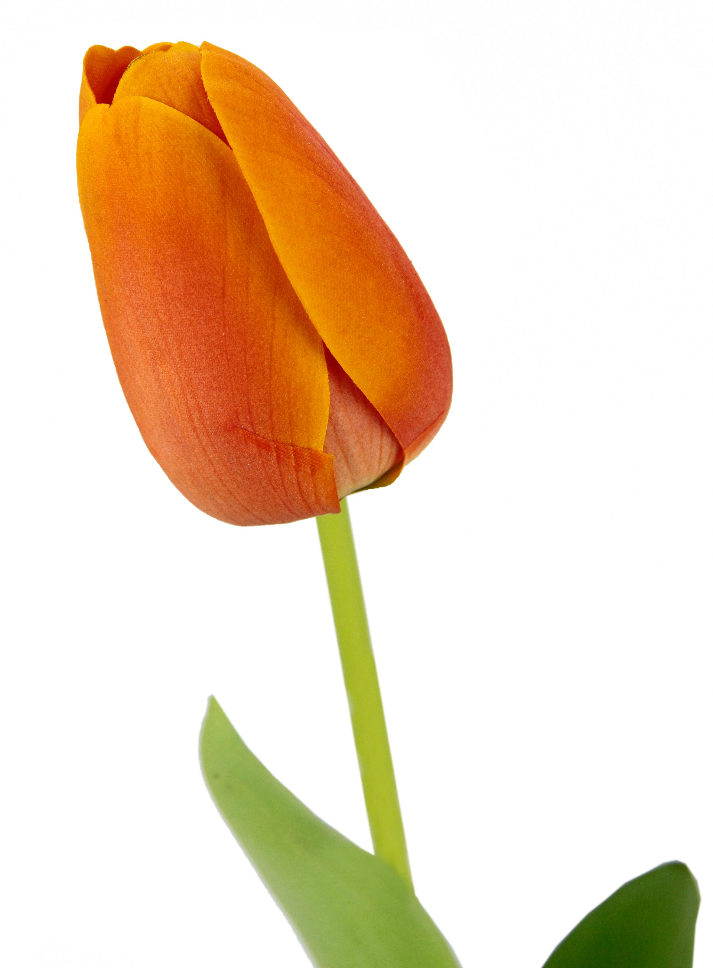 I.GE.A. Kunstblume »Real Touch Tulpen«, 5er Set künstliche Tulpenknospen, Kunstblumen, Stielblume
