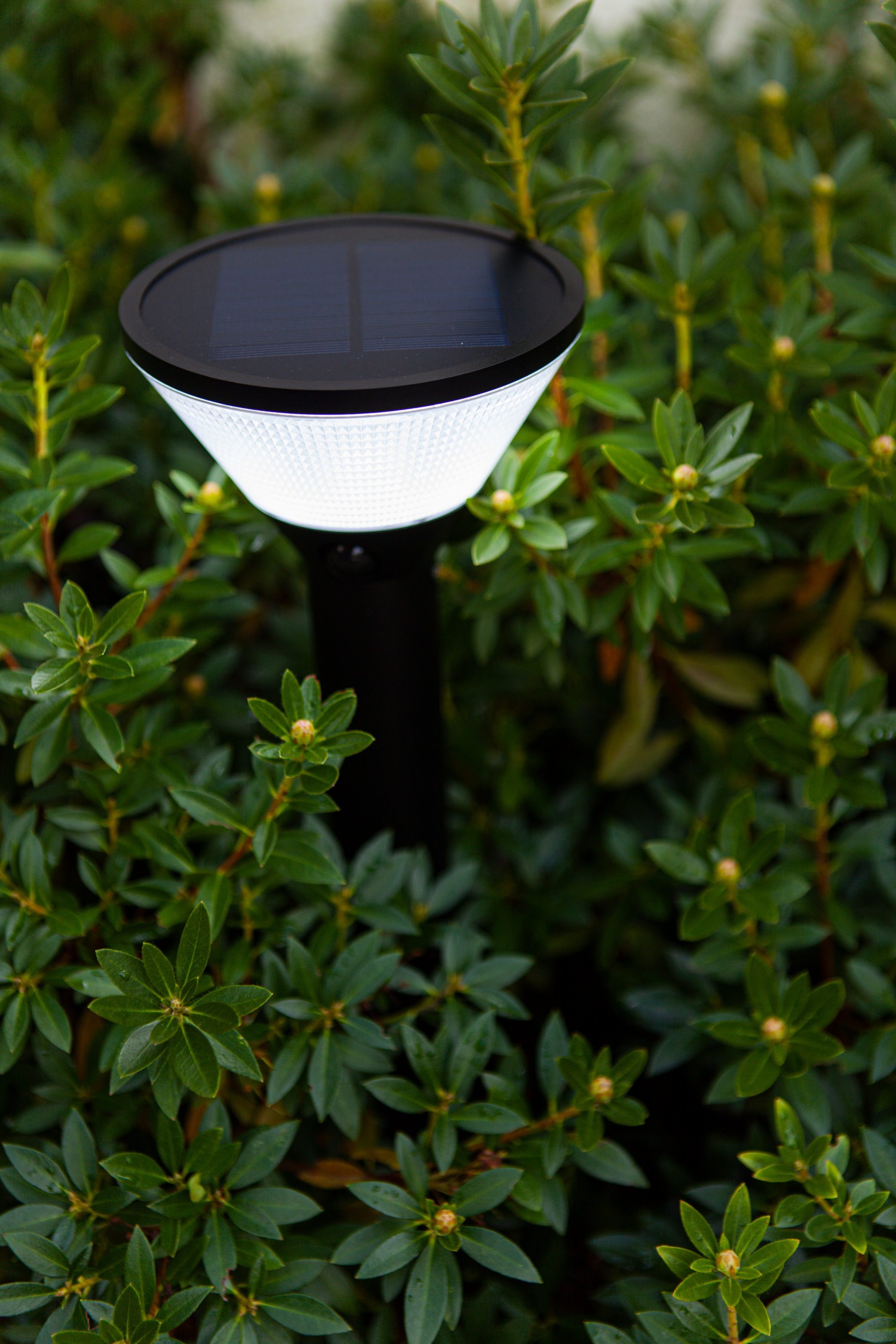 LUTEC LED Solarleuchte »LED-Solar-Aussenstehl. KARLO«, 1 flammig, Leuchtmittel LED-Board | LED fest integriert
