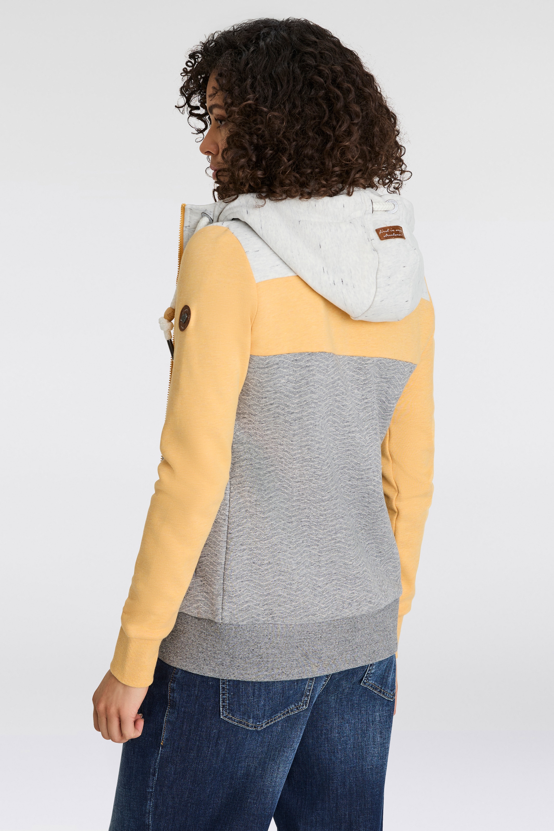 Ragwear Sweatjacke »TREGA ZIP O«, im Colorblocking-Design