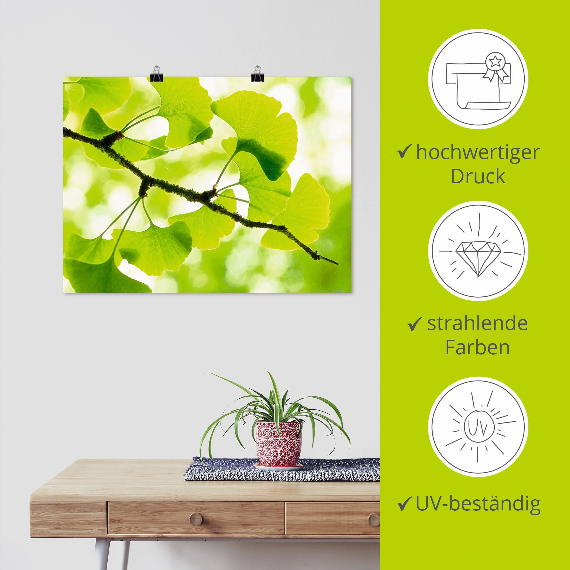 Artland Wandbild »Ginkgo« Blätter 1 Stk. tlg. als Leinwandbild, Poster in verschied. Größen