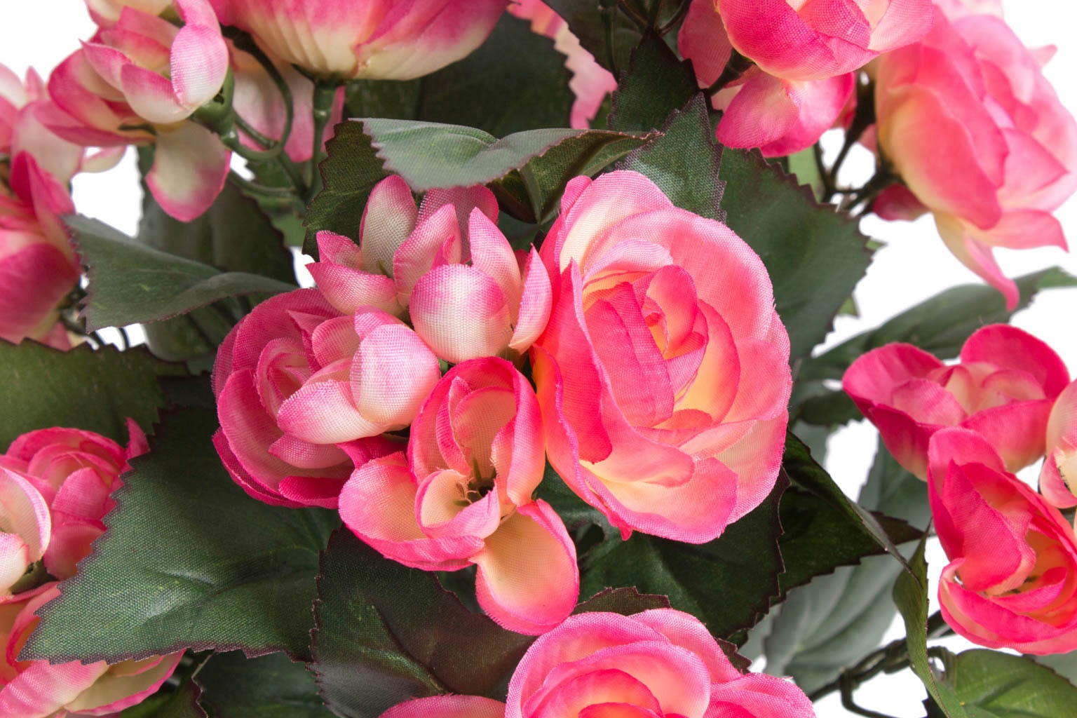 im Botanic-Haus Raten auf »Begonie Kunstblume kaufen Topf«