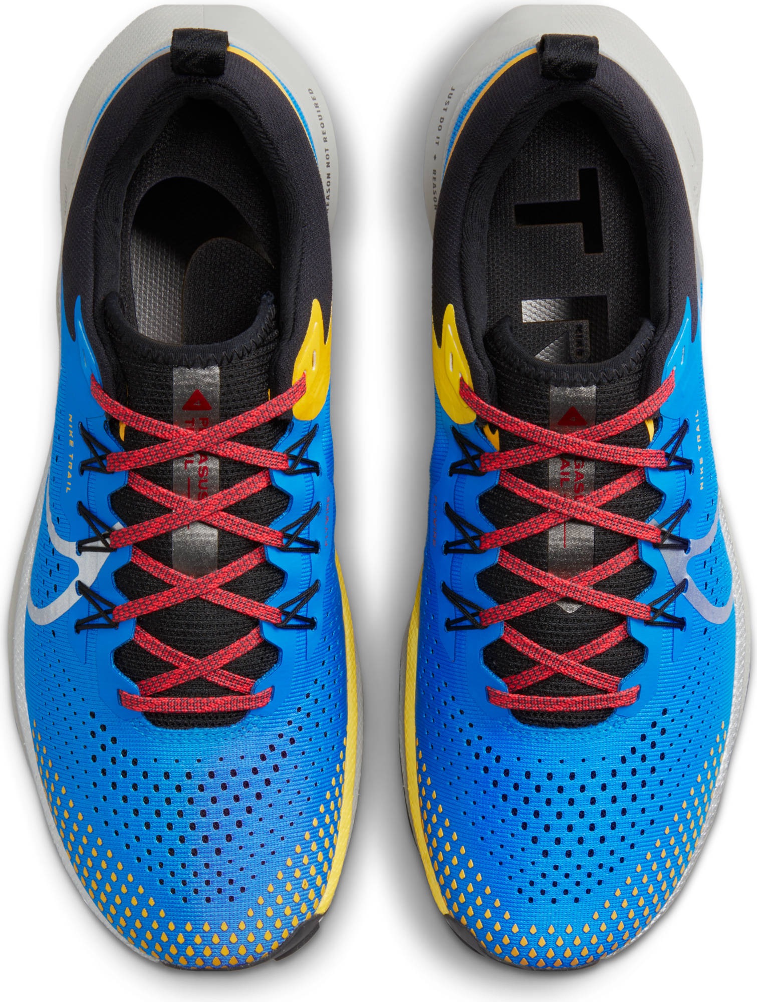 Nike Laufschuh »PEGASUS TRAIL 4 TRAIL«