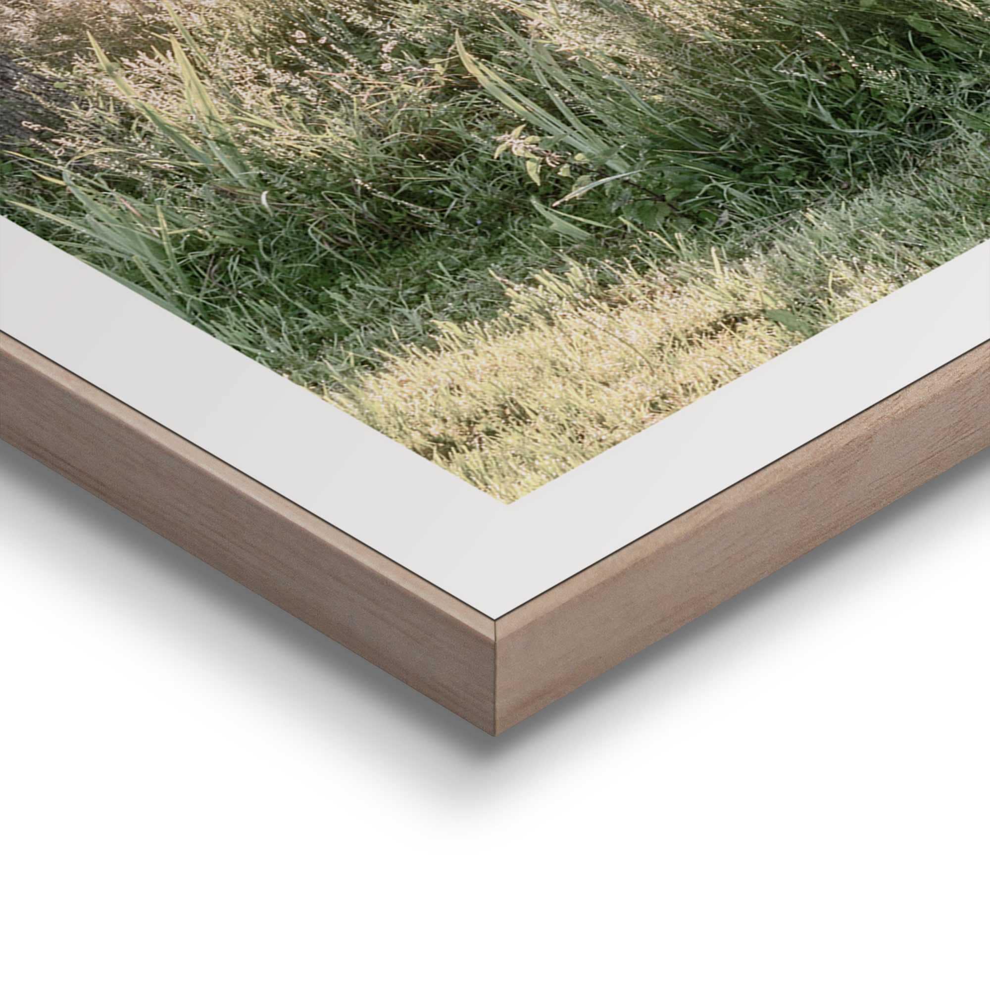 Reinders! Poster »Nature Vibe«, Home Office - Grün - MDF - Landschaften - 50x50 cm