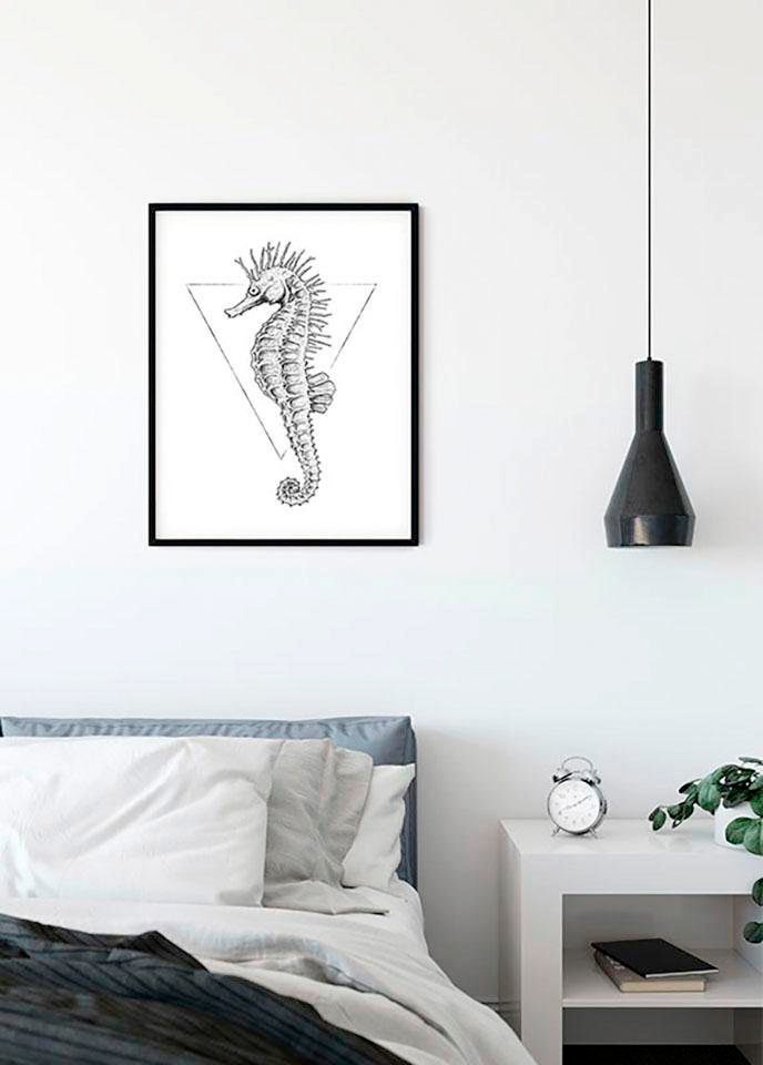 Komar Bild »Sea Horse White« Tiere 1 Stk. tlg. Wandbild zur Dekoration - ohne Rahmen