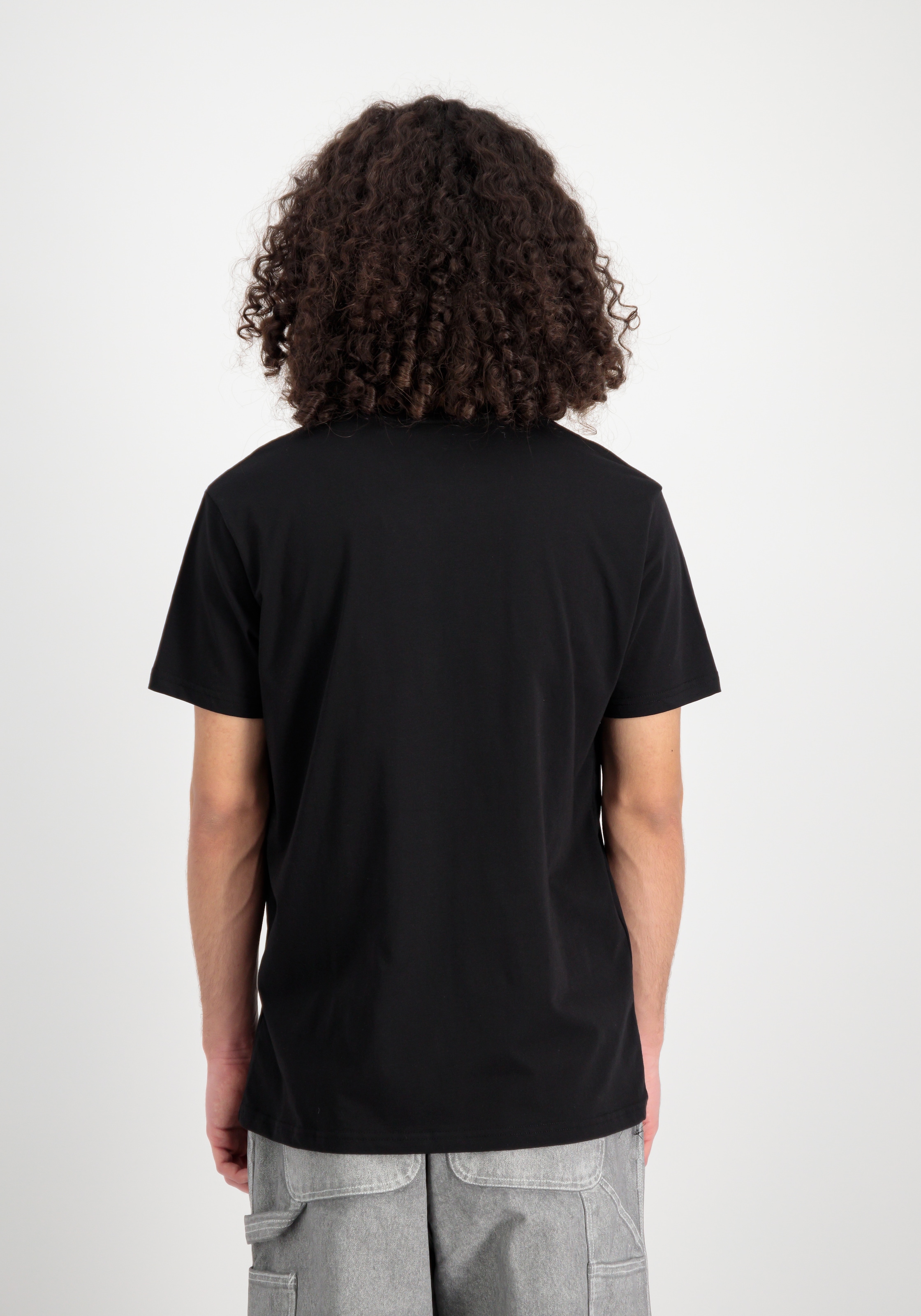 Alpha Industries Rundhalsshirt »Basic T Carbon«