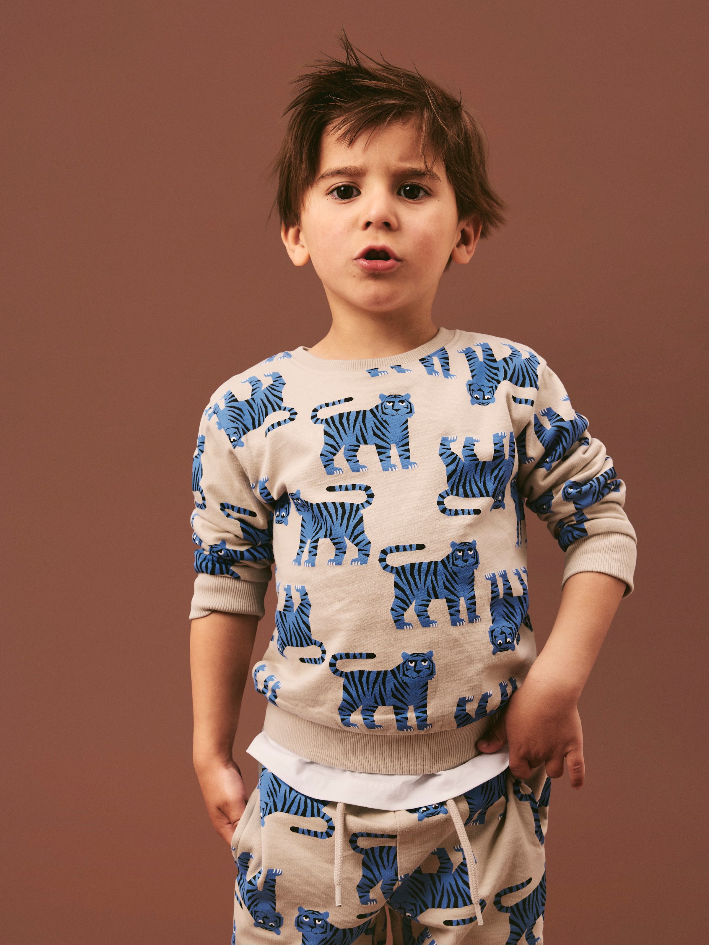 Name It Sweatshirt »NMMLARSON LS NREG SWE BRU«, Baumwolle, regular fit

