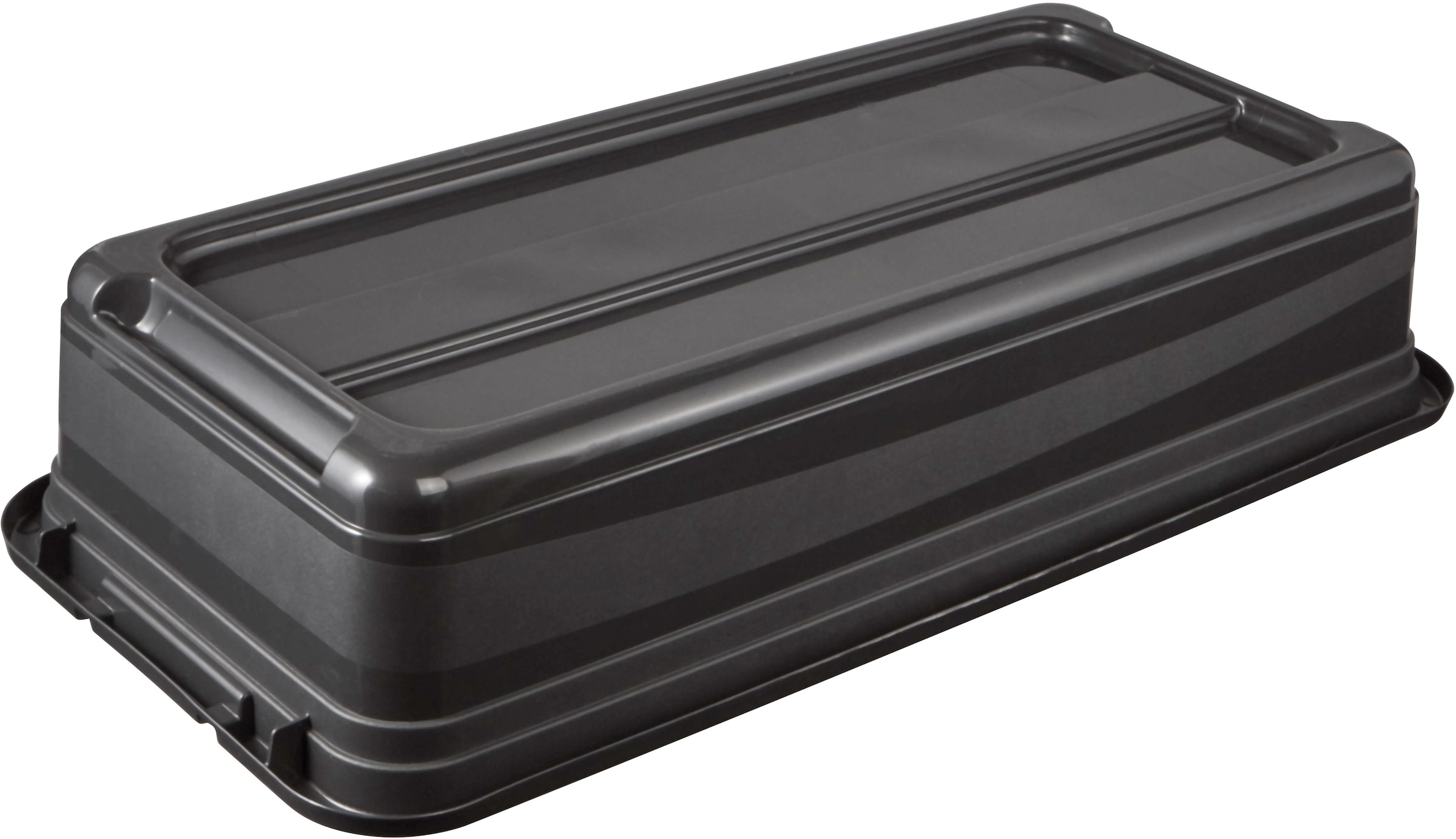 keeeper Transportbehälter »eckhart, 4er Set Transporbox, 33 L, 79,5 x 39,5 x 17 cm« 39,5 cm breit 17 cm hoch 79,5 cm lang Set, 4 Stk. tlg. seitl. Clips, Griffe am Boden, stoßfeste Seitenwände, robuster Deckel