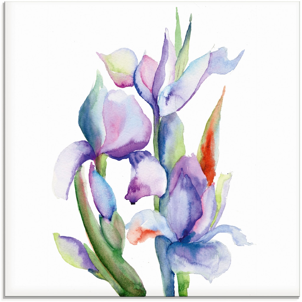 Artland Glasbild »Iris«, Blumen, (1 St.)