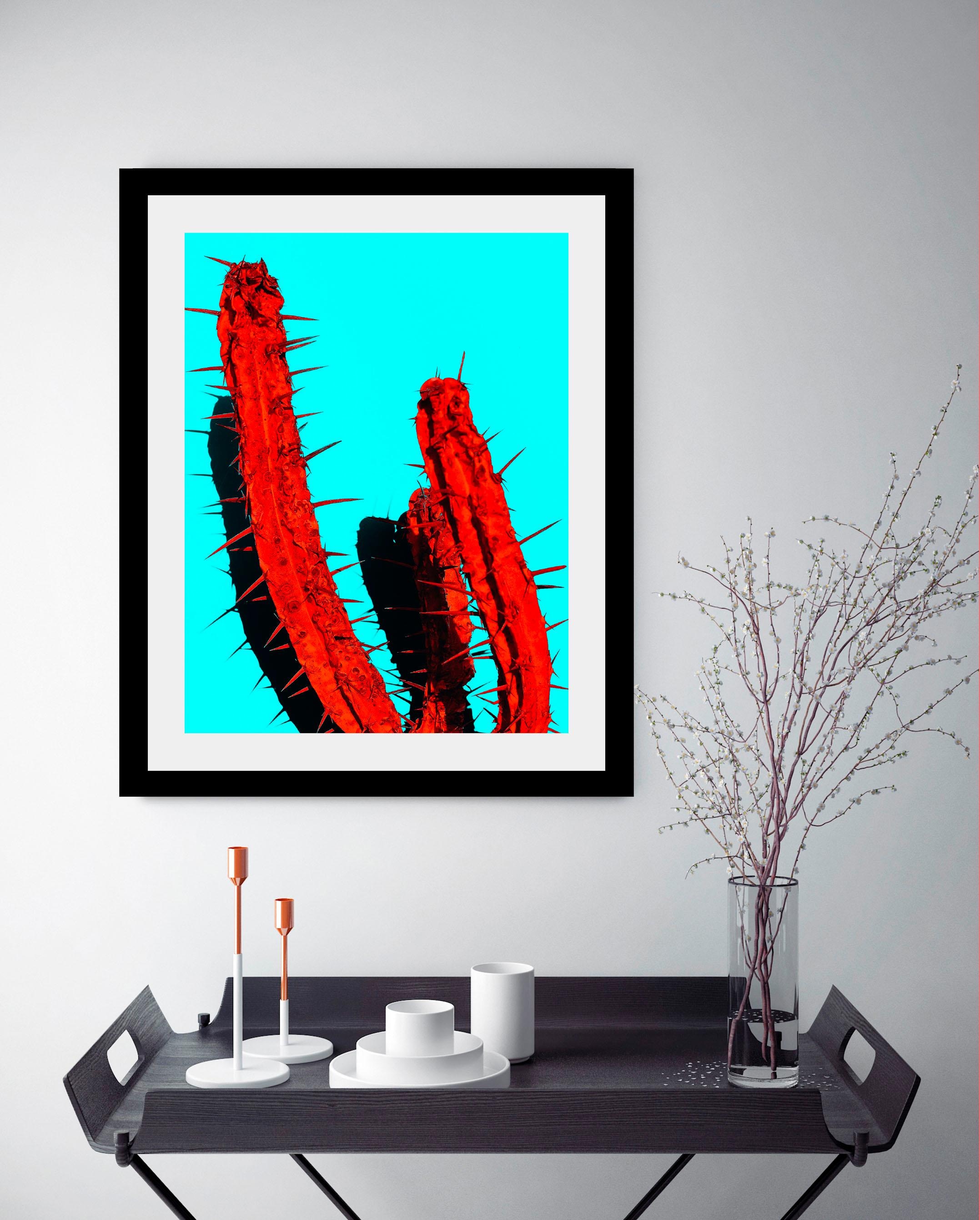 queence Bild »Kaktus«, Kunst-Pflanzen-Foto-Pflanzenbilder, HD Premium Poster-Druck inkl. Holzrahmen