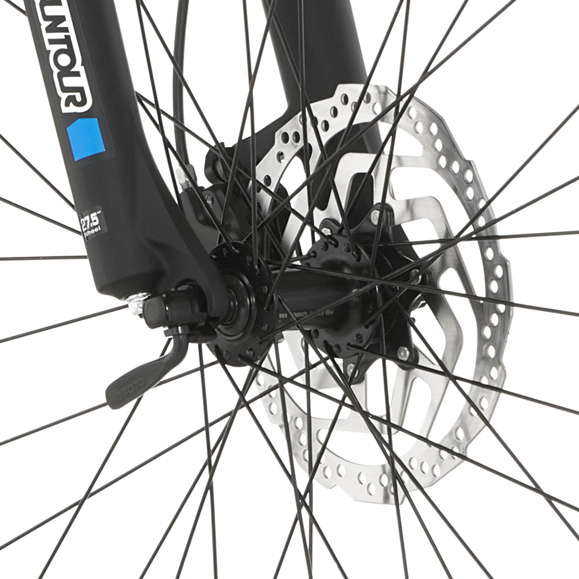 FISCHER Fahrrad E-Bike »MONTIS EM 1726 422«, 10 Gang, Pedelec, Elektrofahrrad für Damen u. Herren, MTB