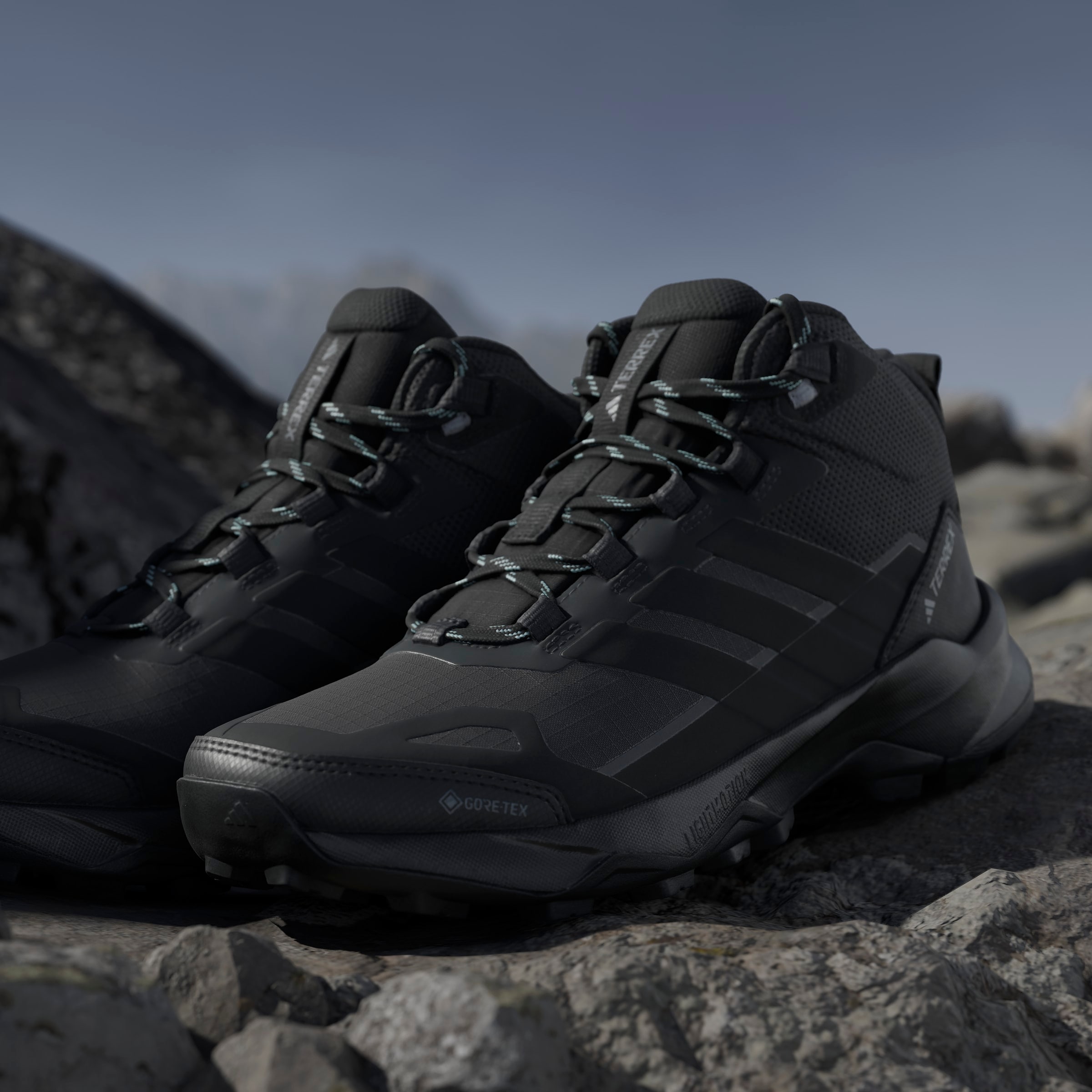 adidas TERREX Wanderschuh »TERREX SKYCHASER AX5 MID GORE-TEX«  wasserdicht