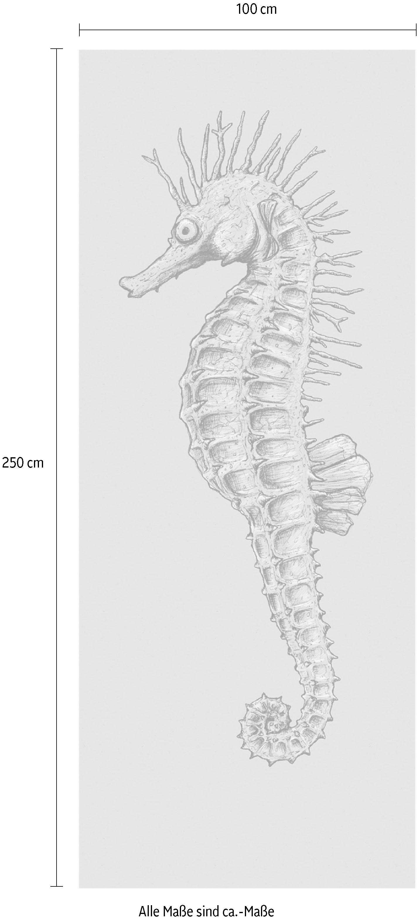 Komar Vliestapete »Digitaldruck Vlies -  Seahorse Panel - Größe 100 x 250 cm« bedruckt glatt Wohnzimmer, Schlafzimmer