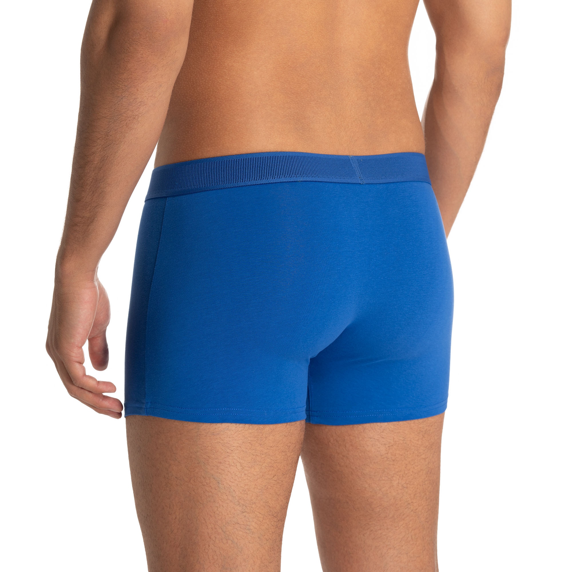 Bruno Banani Boxer »Sonication« Baumwollmischung, elastisch