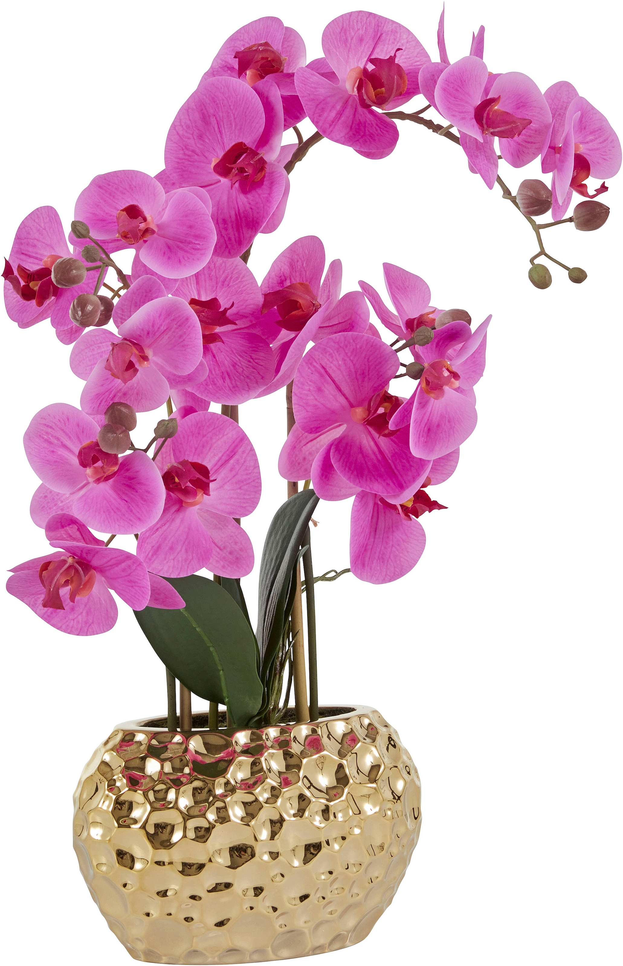 Kunstorchidee, mit im | Leonique Topf Kunstpflanze kaufen Jahren online 3 »Orchidee«, XXL Garantie